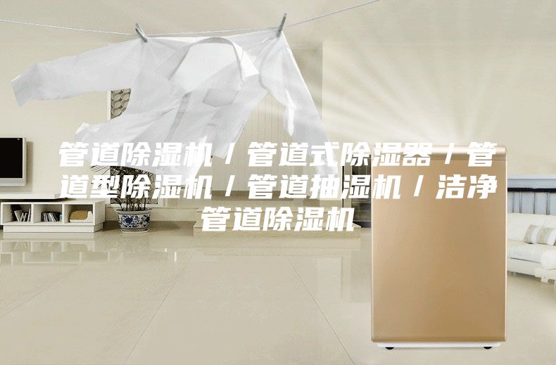 管道除濕機/管道式除濕器/管道型除濕機/管道抽濕機/潔凈管道除濕機