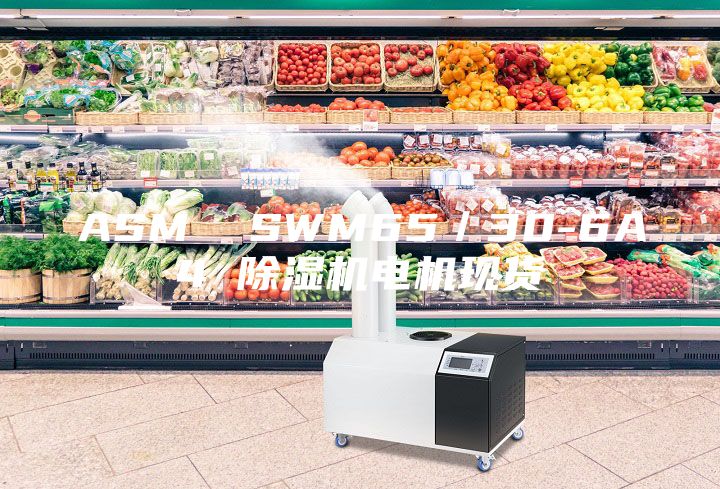 ASM  SWM65／30-6A4 除濕機電機現(xiàn)貨