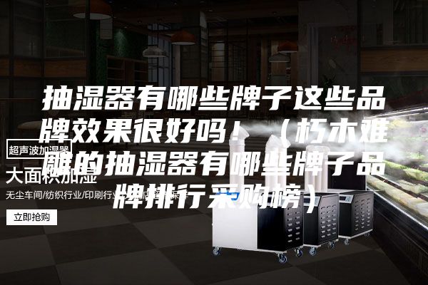 抽濕器有哪些牌子這些品牌效果很好嗎!(朽木難雕的抽濕器有哪些牌子品牌排行采購榜)