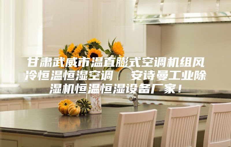 甘肅武威市溫直膨式空調機組風冷恒溫恒濕空調  安詩曼工業(yè)除濕機恒溫恒濕設備廠家！
