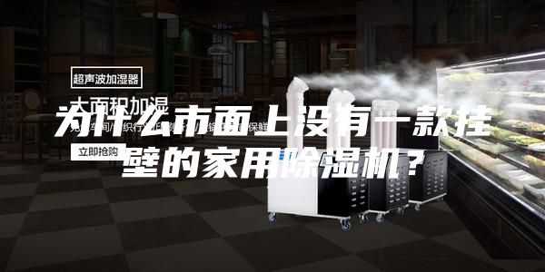 為什么市面上沒有一款掛壁的家用除濕機？