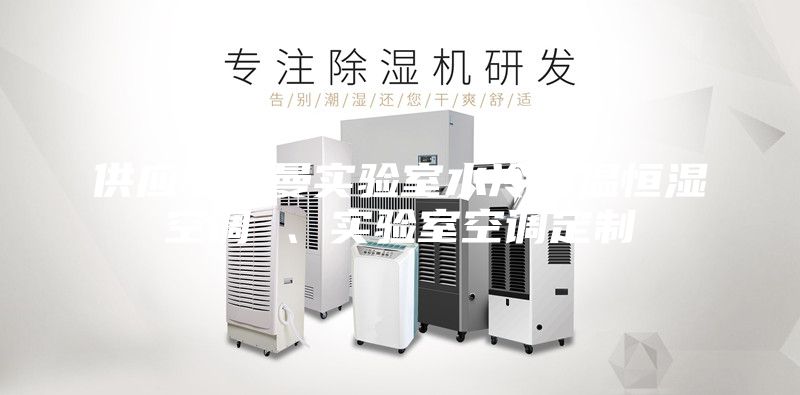 供應安詩曼實驗室水冷恒溫恒濕空調 、實驗室空調定制