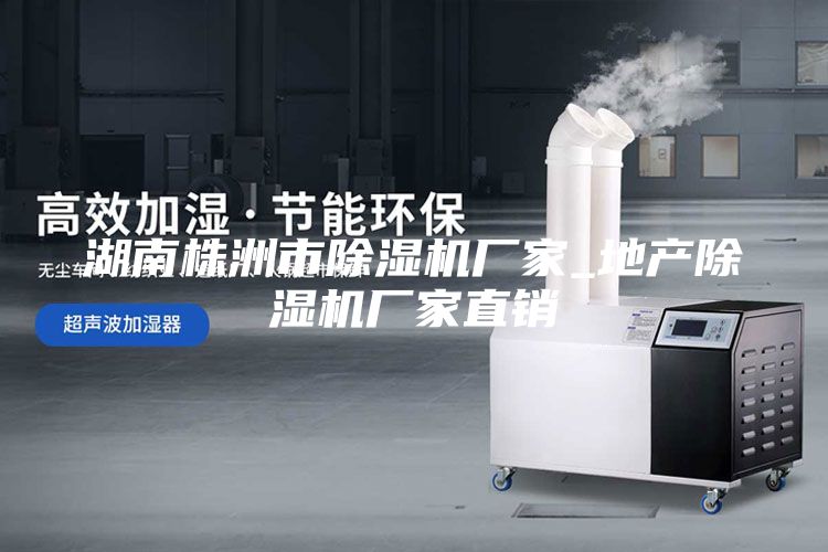 湖南株洲市除濕機(jī)廠家_地產(chǎn)除濕機(jī)廠家直銷