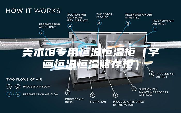 美術(shù)館專用恒溫恒濕柜（字畫恒溫恒濕儲(chǔ)存柜）
