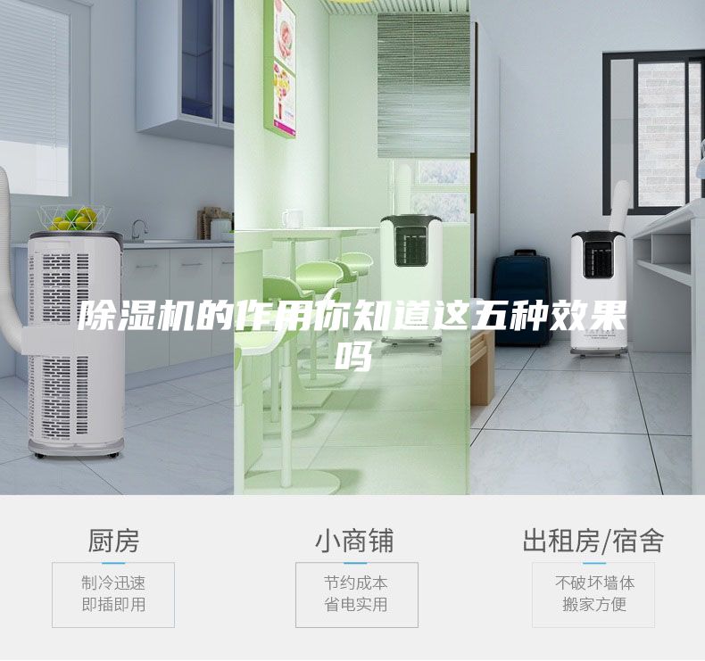 除濕機的作用你知道這五種效果嗎