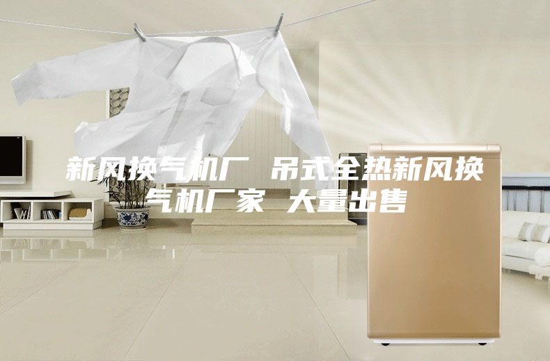 新風(fēng)換氣機(jī)廠 吊式全熱新風(fēng)換氣機(jī)廠家 大量出售