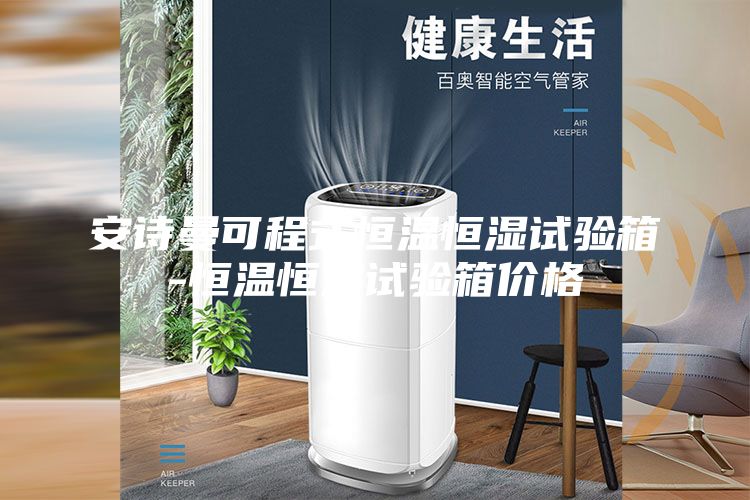 安詩曼可程式恒溫恒濕試驗(yàn)箱-恒溫恒濕試驗(yàn)箱價(jià)格