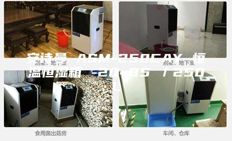 安詩曼 ASM-250CAY 恒溫恒濕箱 -20~85℃/250L