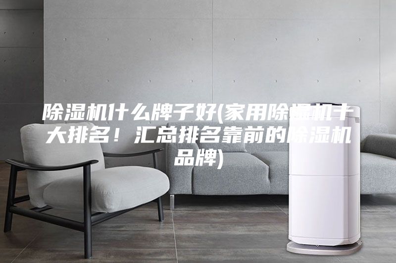 除濕機什么牌子好(家用除濕機十大排名！匯總排名靠前的除濕機品牌)