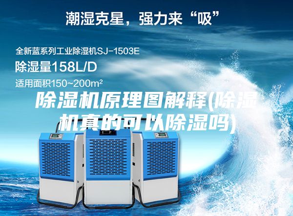 除濕機原理圖解釋(除濕機真的可以除濕嗎)