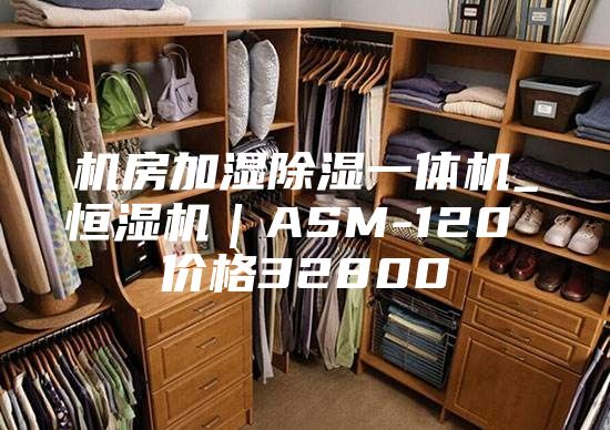 機房加濕除濕一體機_恒濕機｜ASM-120 價格32800