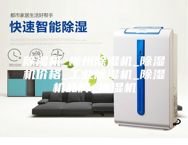 除濕機_郴州除濕機_除濕機價格_工業(yè)除濕機_除濕機品牌_抽濕機