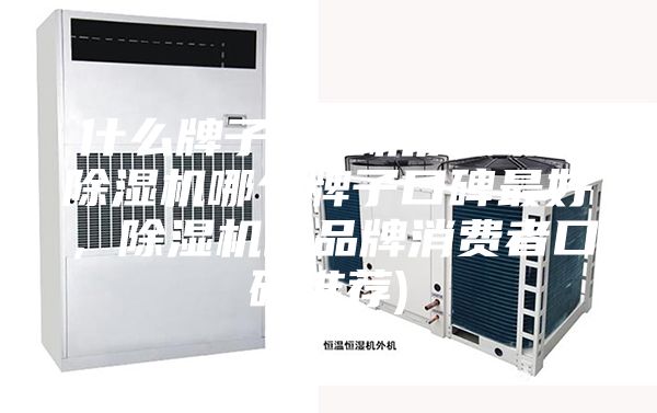 什么牌子除濕機(jī)質(zhì)量好(除濕機(jī)哪個牌子口碑最好,除濕機(jī)的品牌消費(fèi)者口碑推薦)