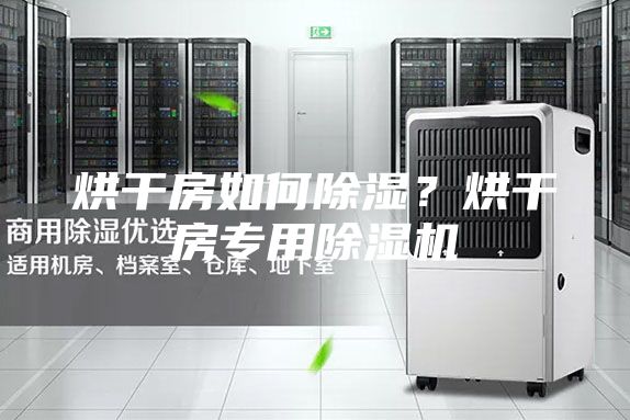 烘干房如何除濕?烘干房專用除濕機