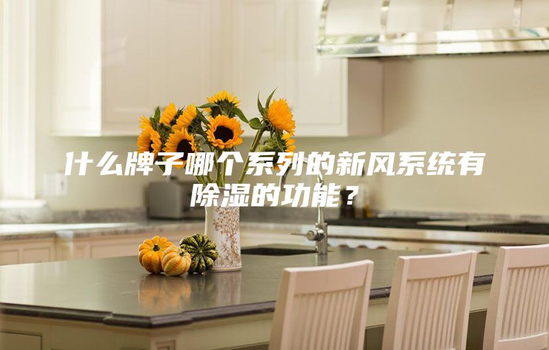 什么牌子哪個系列的新風系統有除濕的功能？