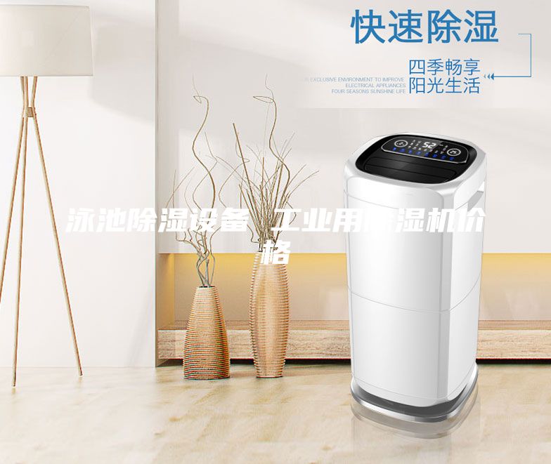 泳池除濕設備 工業用除濕機價格