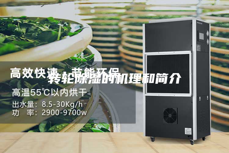 轉(zhuǎn)輪除濕的機(jī)理和簡介