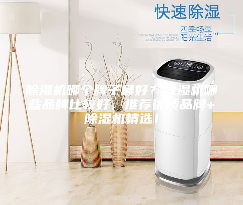 除濕機哪個牌子最好？除濕機哪些品牌比較好，推薦優(yōu)質(zhì)品牌+除濕機精選！