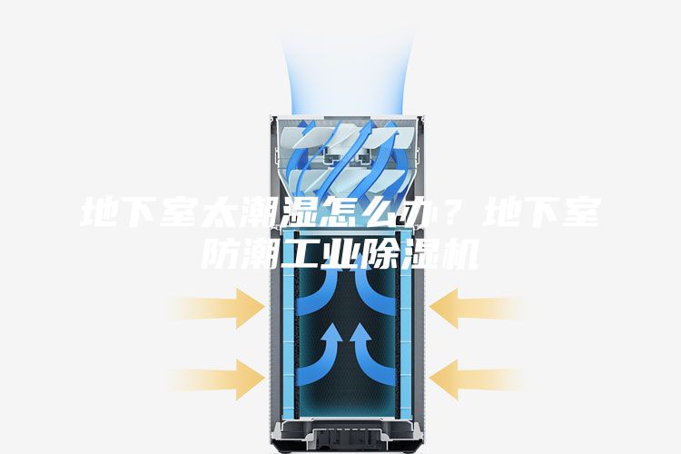 地下室太潮濕怎么辦？地下室防潮工業(yè)除濕機(jī)