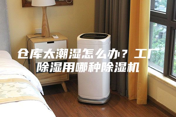 倉庫太潮濕怎么辦？工廠除濕用哪種除濕機