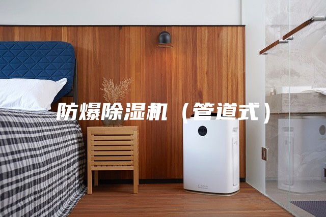 防爆除濕機（管道式）