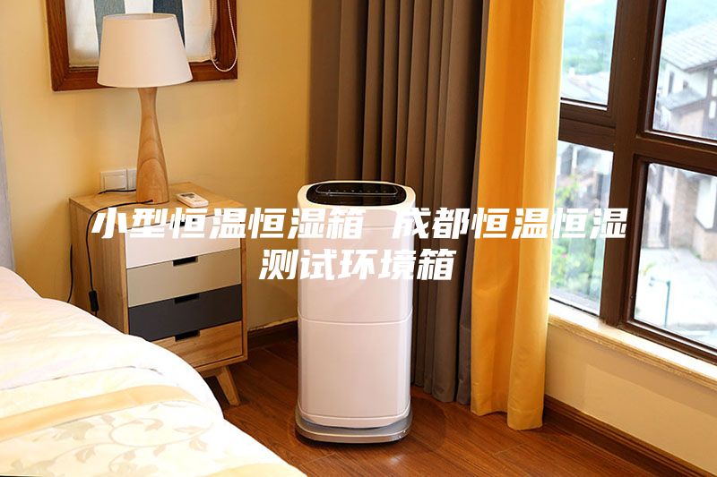 小型恒溫恒濕箱 成都恒溫恒濕測試環(huán)境箱