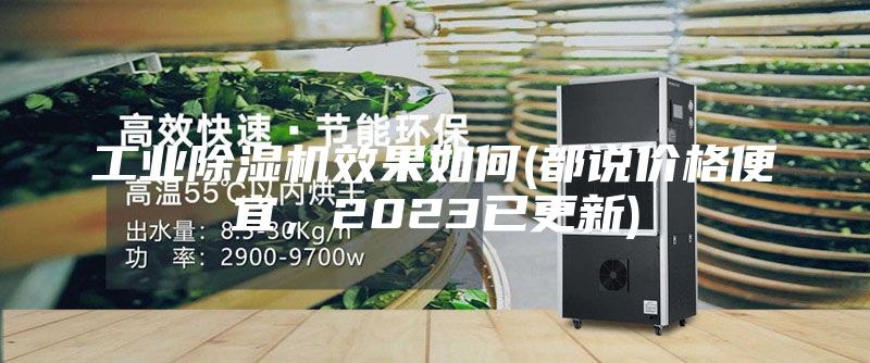工業(yè)除濕機(jī)效果如何(都說(shuō)價(jià)格便宜，2023已更新)