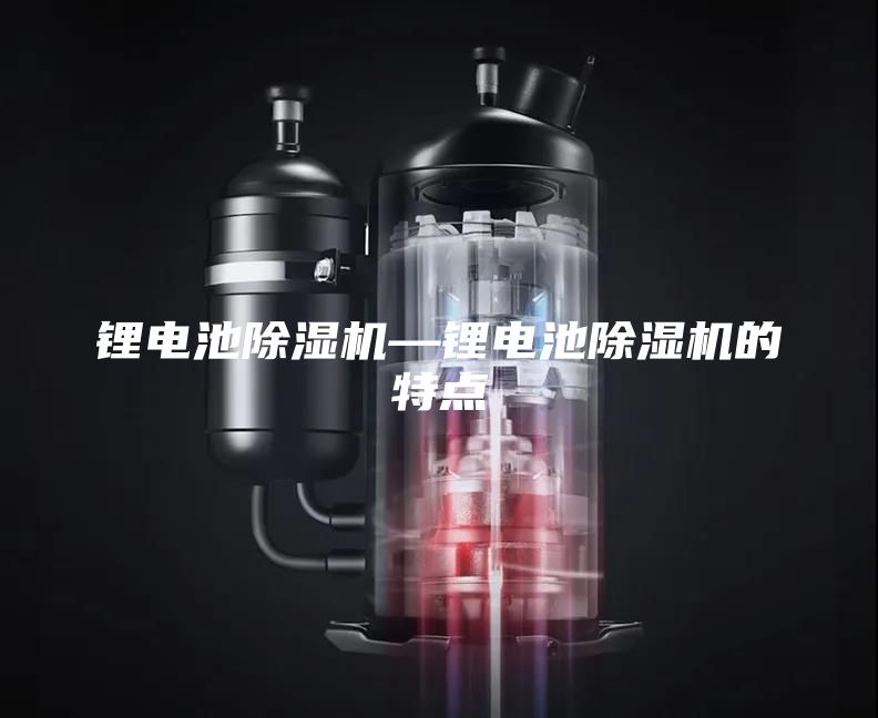 鋰電池除濕機(jī)—鋰電池除濕機(jī)的特點(diǎn)
