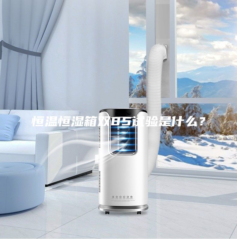 恒溫恒濕箱雙85試驗是什么？