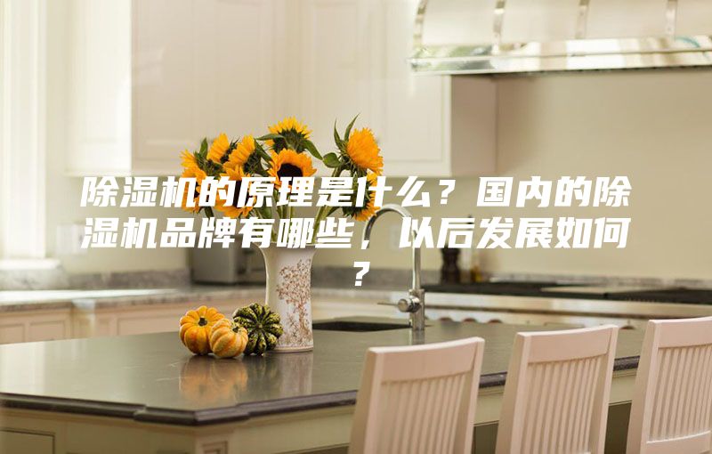 除濕機的原理是什么?國內(nèi)的除濕機品牌有哪些,以后發(fā)展如何?