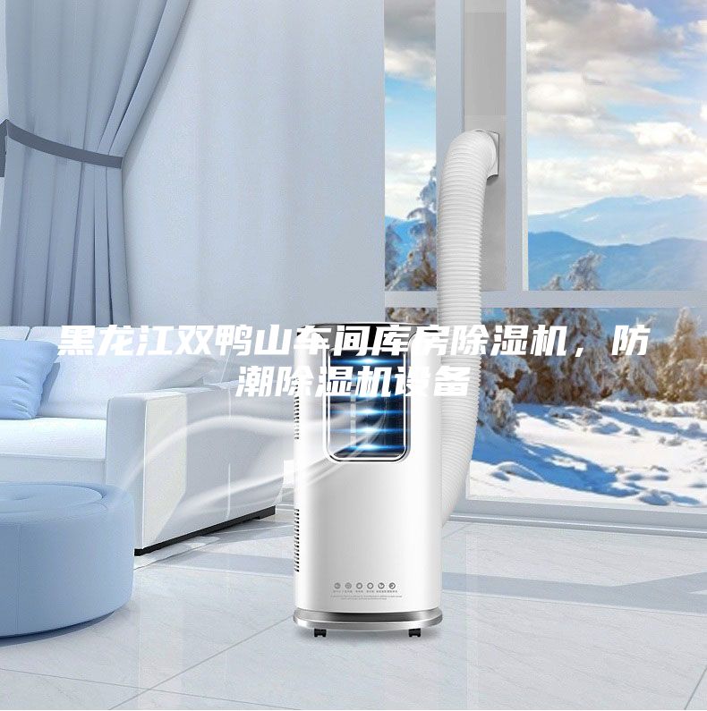 黑龍江雙鴨山車間庫房除濕機,防潮除濕機設備