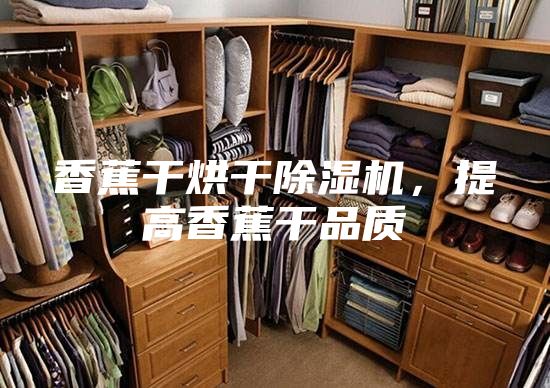 香蕉干烘干除濕機,提高香蕉干品質