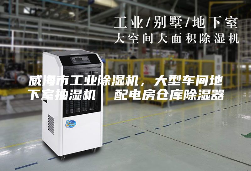 威海市工業(yè)除濕機(jī)，大型車(chē)間地下室抽濕機(jī)  配電房倉(cāng)庫(kù)除濕器