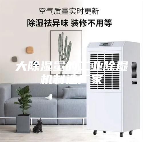 大除濕量的工業(yè)除濕機制造廠家
