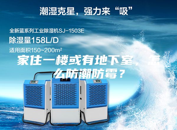 家住一樓或有地下室，怎么防潮防霉？
