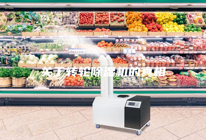 關(guān)于轉(zhuǎn)輪除濕機(jī)的真相