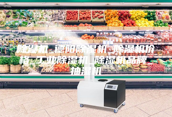 除濕機_德陽除濕機_除濕機價格_工業(yè)除濕機_除濕機品牌_抽濕機