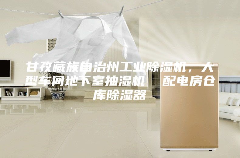 甘孜藏族自治州工業(yè)除濕機(jī)，大型車間地下室抽濕機(jī)  配電房倉(cāng)庫(kù)除濕器