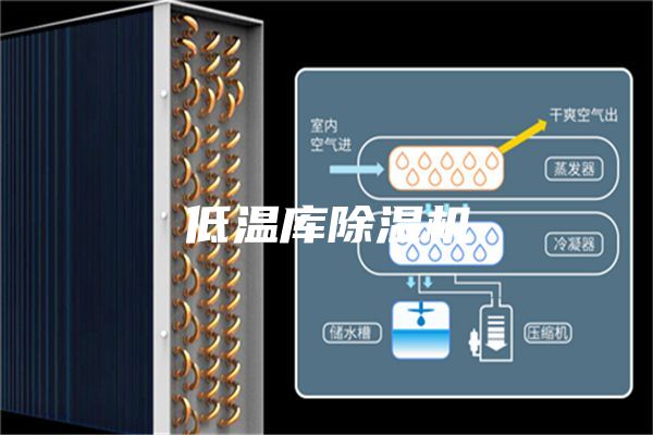 低溫庫(kù)除濕機(jī)