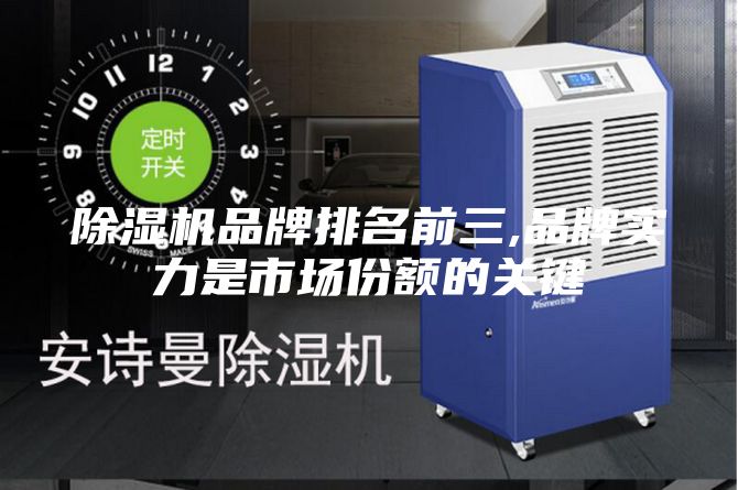 除濕機(jī)品牌排名前三,品牌實(shí)力是市場(chǎng)份額的關(guān)鍵