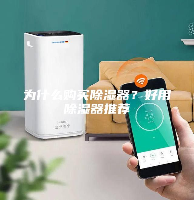 為什么購買除濕器？好用除濕器推薦