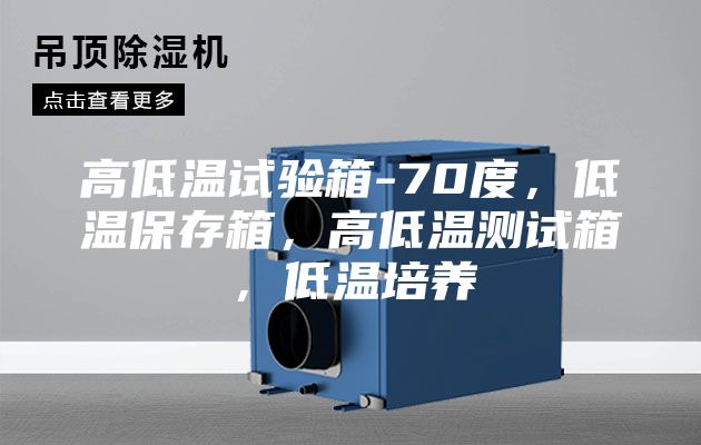 高低溫試驗箱-70度，低溫保存箱，高低溫測試箱，低溫培養