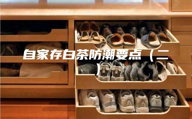 自家存白茶防潮要點（二）