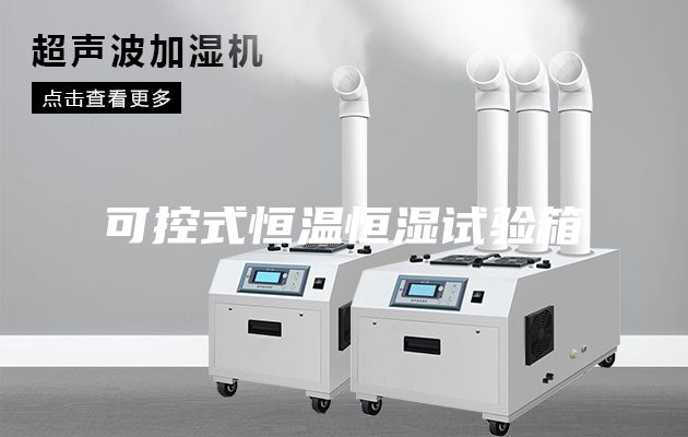 可控式恒溫恒濕試驗箱